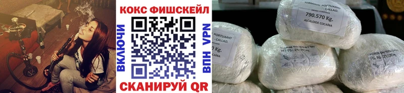 Купить  Куса  Cocaine Fish Scale 